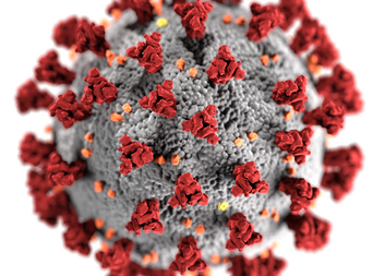 Návštěvy v Domově na Dómském pahorku