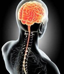 Neurologové ve Farní charitě Litoměřice.
