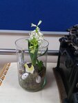 IMG-20220407-WA0011