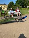 FB_IMG_1685118576261