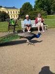 FB_IMG_1685118588026