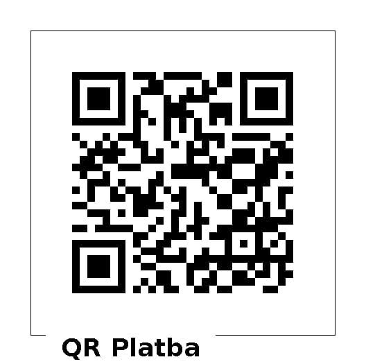 Tříkrálová sbírka 2025 - QR kód