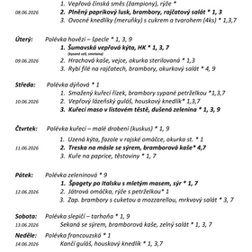 Jídelníček 8. 6. 2026